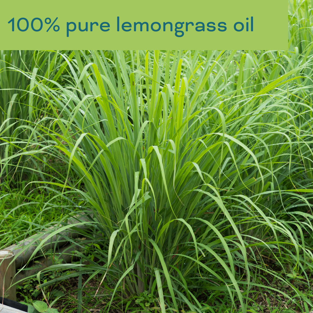 Pure Lemongrass Eteerinen öljy