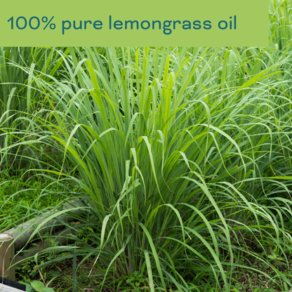 Pure Lemongrass Eteerinen öljy