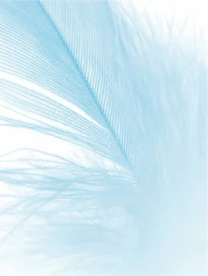 Herkän ihon tuoksuton kosteusvoide ILO Skincare